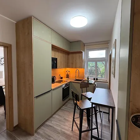Cozy After Renovation Quiet Part Of Kv Apartman Karlovy Vary