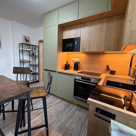 Cozy After Renovation Quiet Part Of Kv Apartman Karlovy Vary
